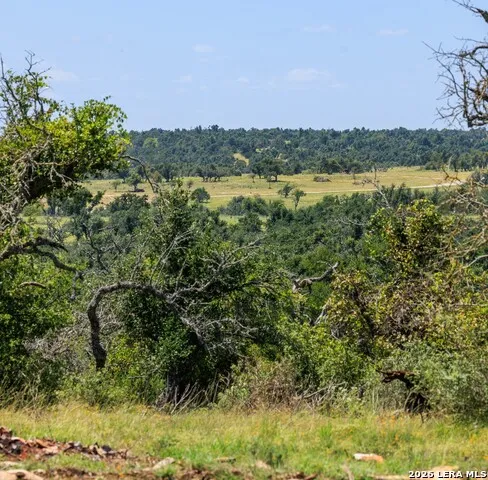 2656 Meier Road Fredericksburg, TX 78624