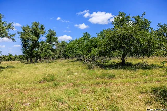 2656 Meier Road Fredericksburg, TX 78624