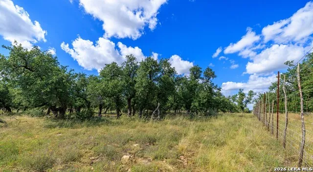 2656 Meier Road Fredericksburg, TX 78624