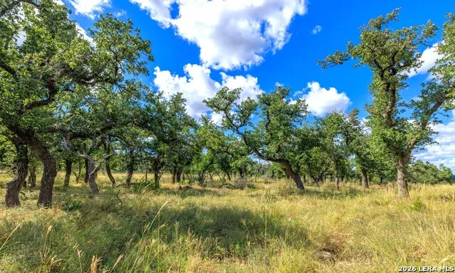 2656 Meier Road Fredericksburg, TX 78624