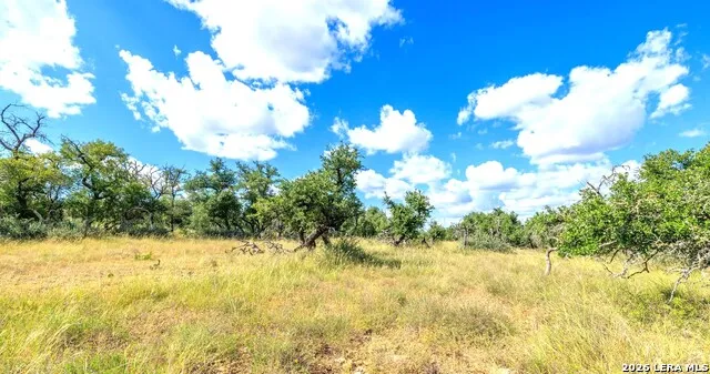 2656 Meier Road Fredericksburg, TX 78624