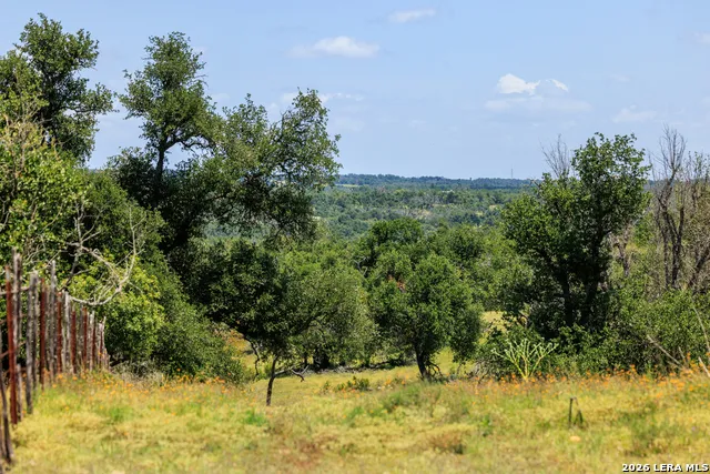 2656 Meier Road Fredericksburg, TX 78624
