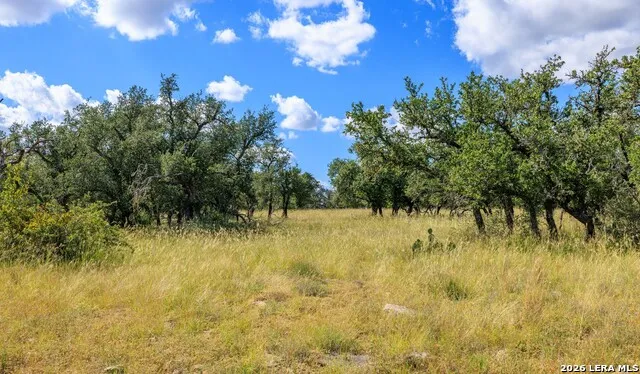 2656 Meier Road Fredericksburg, TX 78624