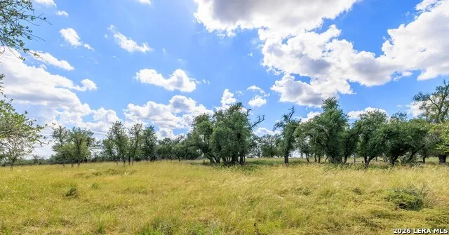 2656 Meier Road Fredericksburg, TX 78624