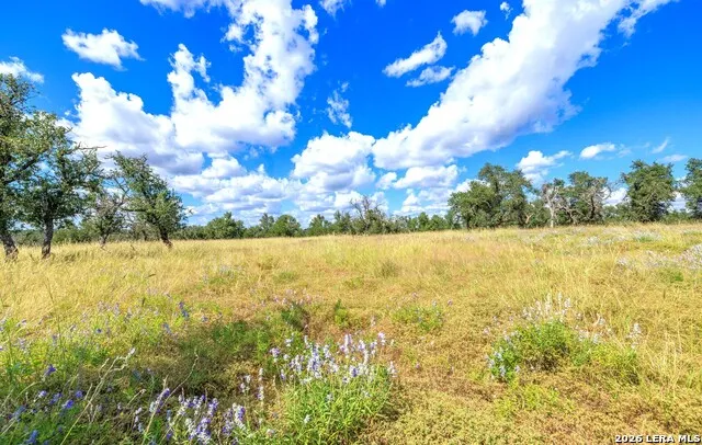 2656 Meier Road Fredericksburg, TX 78624