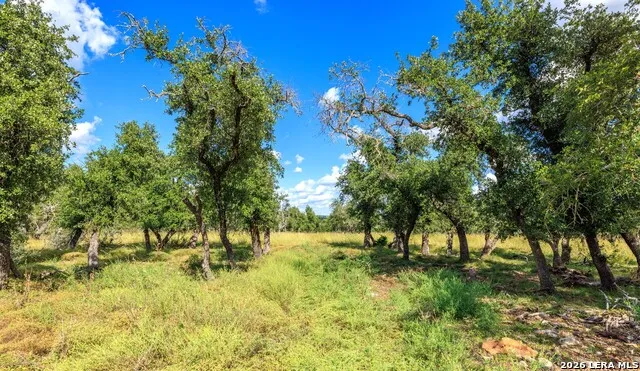 2656 Meier Road Fredericksburg, TX 78624