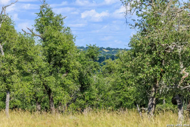 2656 Meier Road Fredericksburg, TX 78624
