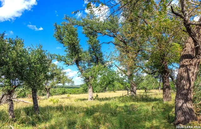 2656 Meier Road Fredericksburg, TX 78624