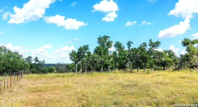2656 Meier Road Fredericksburg, TX 78624