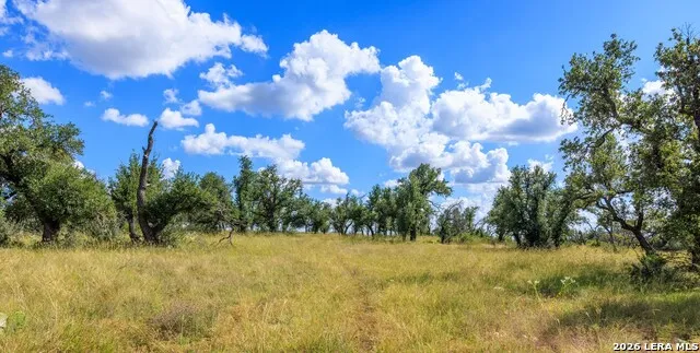 2656 Meier Road Fredericksburg, TX 78624