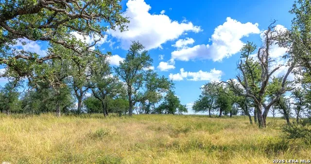2656 Meier Road Fredericksburg, TX 78624