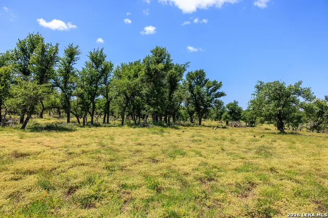 2656 Meier Road Fredericksburg, TX 78624