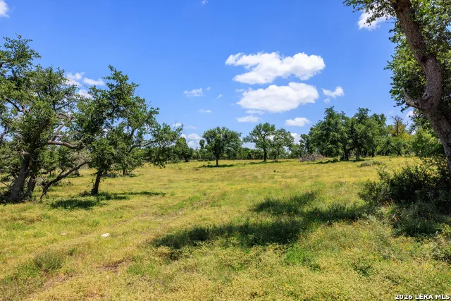 2656 Meier Road Fredericksburg, TX 78624