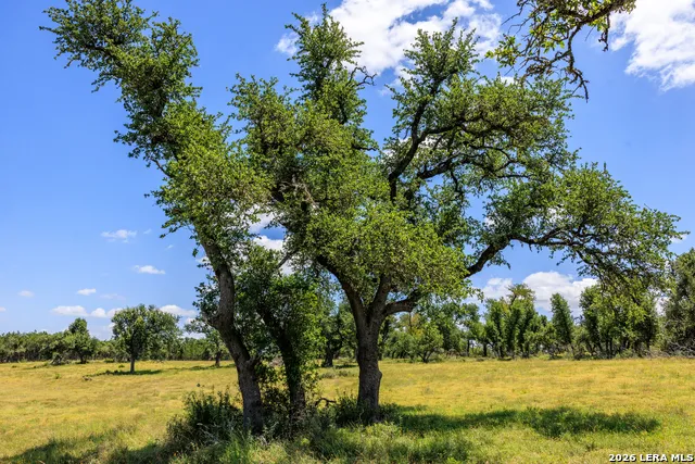 2656 Meier Road Fredericksburg, TX 78624