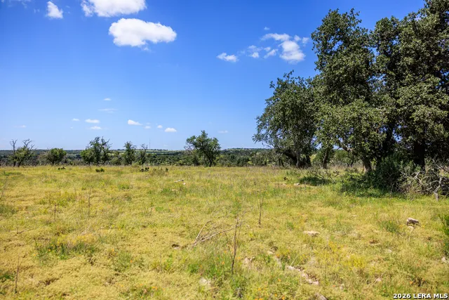 2656 Meier Road Fredericksburg, TX 78624