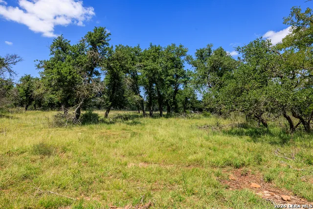2656 Meier Road Fredericksburg, TX 78624