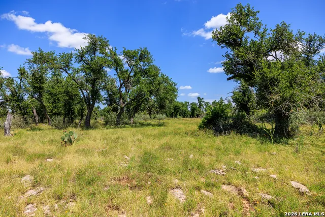 2656 Meier Road Fredericksburg, TX 78624