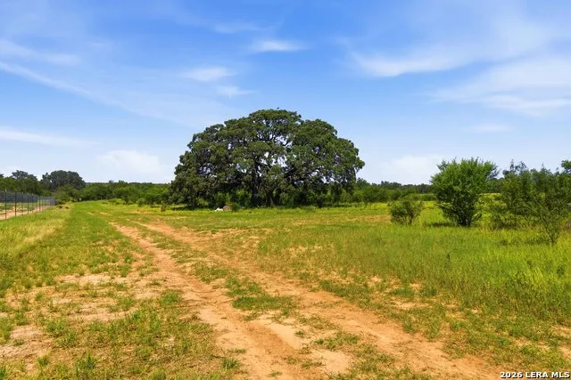 2194 S Ranch Rd 187 Sabinal, TX 78881