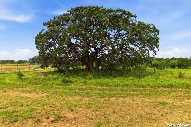 2194 S Ranch Rd 187 Sabinal, TX 78881