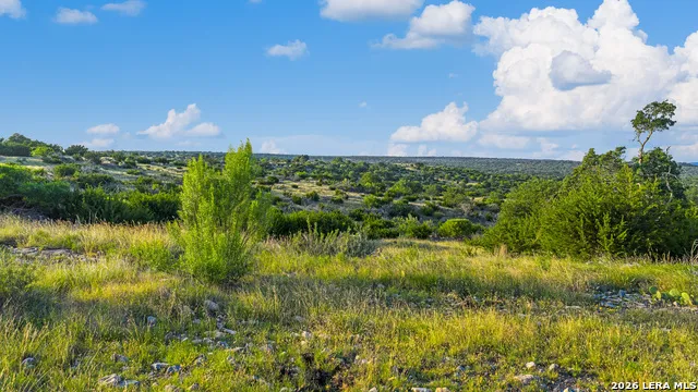 000 KC 442 Harper, TX 78631