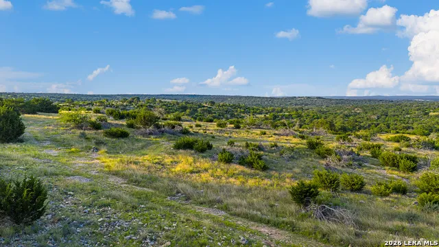 000 KC 442 Harper, TX 78631