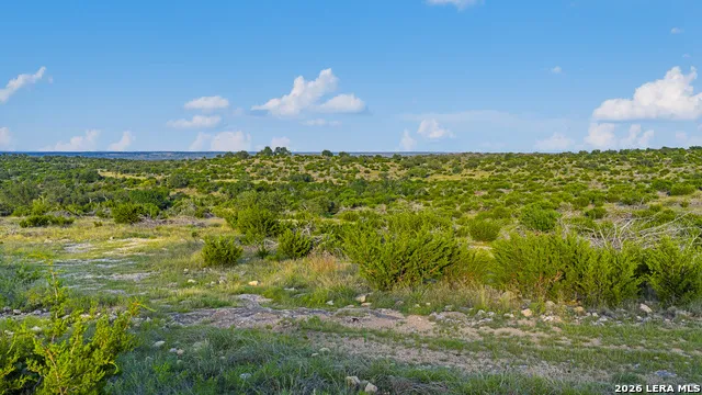 000 KC 442 Harper, TX 78631