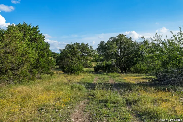000 KC 442 Harper, TX 78631