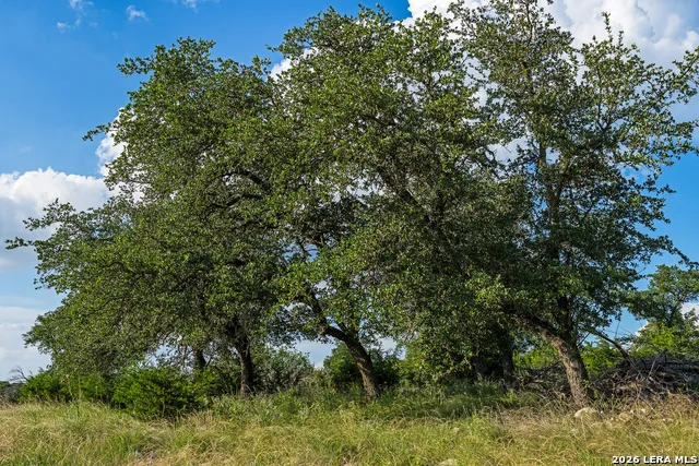 000 KC 442 Harper, TX 78631