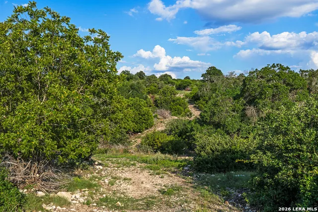 000 KC 442 Harper, TX 78631