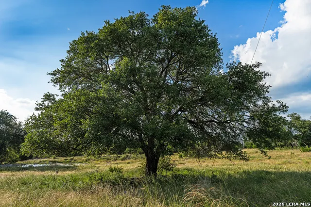 000 KC 442 Harper, TX 78631