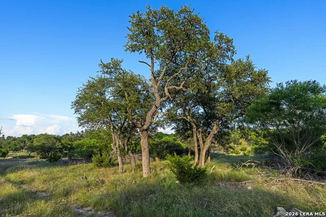 000 KC 442 Harper, TX 78631
