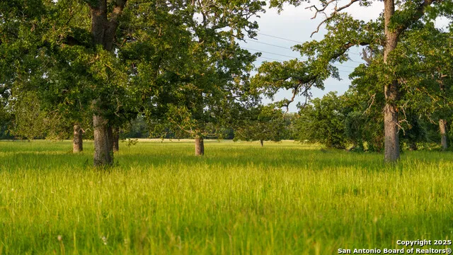 8058 Milam County Road 455 Thorndale, TX 76577