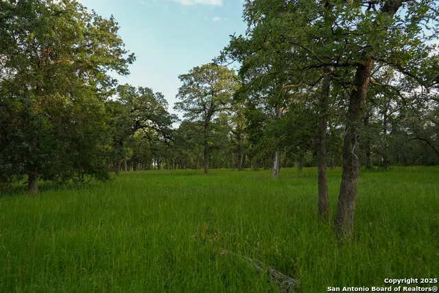 8058 Milam County Road 455 Thorndale, TX 76577