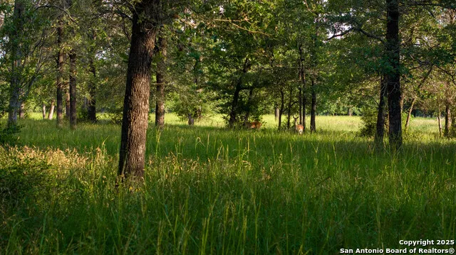 8058 Milam County Road 455 Thorndale, TX 76577