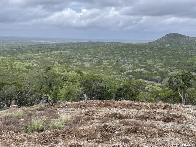 852 Crystal Peak Fischer, TX 78623