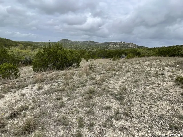 852 Crystal Peak Fischer, TX 78623