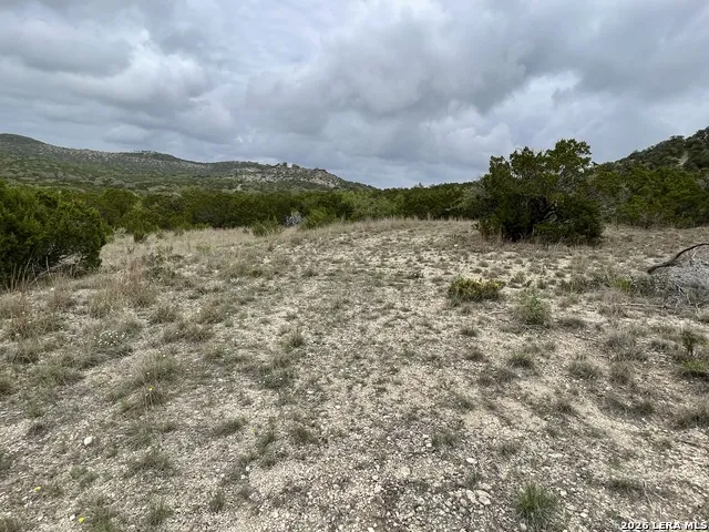 852 Crystal Peak Fischer, TX 78623
