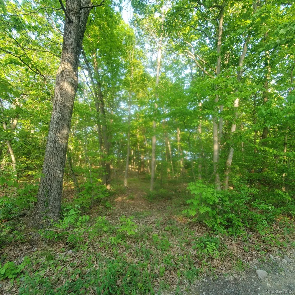 15 Rose Hill Road Monroe, NY 10950