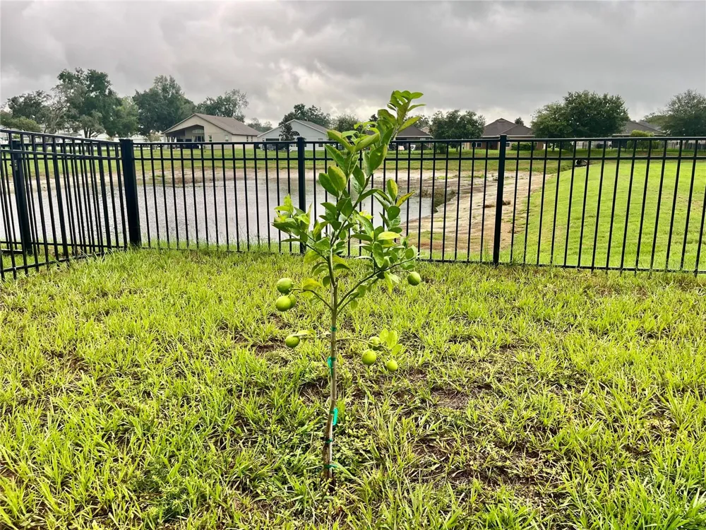 13554 MARILYN COURT Hudson, FL 34669