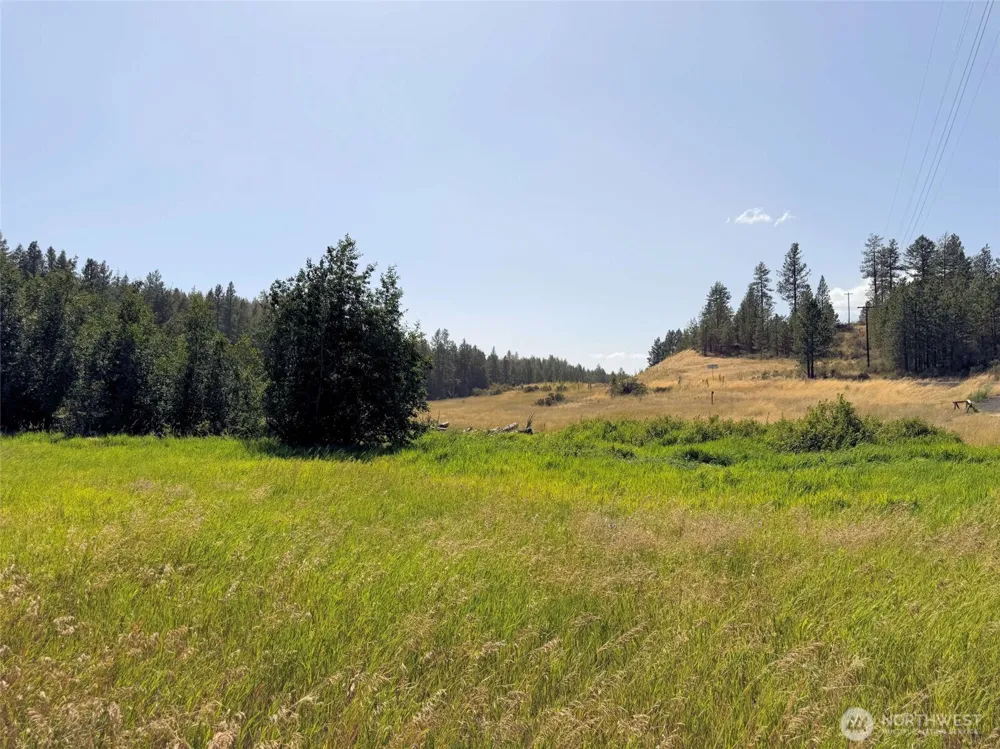 1 Miles/Creston Road E Creston, WA 99117