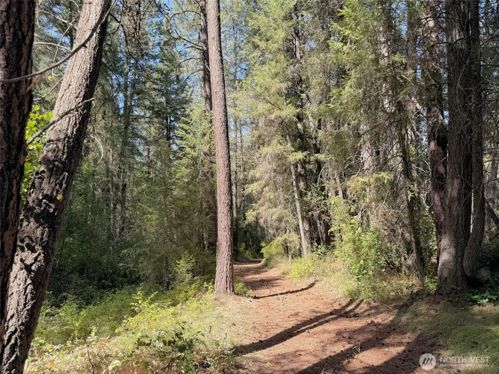 2 Miles/Creston Road E Creston, WA 99117