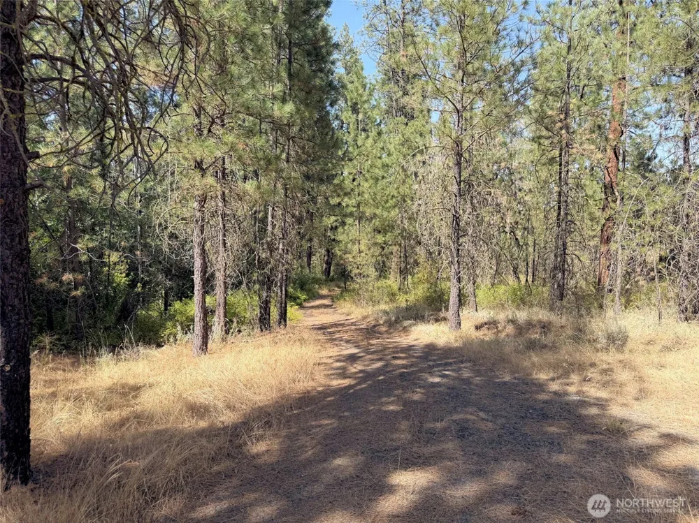 2 Miles/Creston Road E Creston, WA 99117