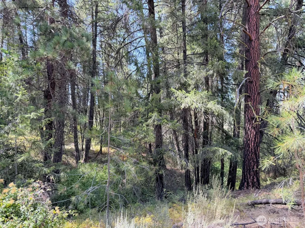 2 Miles/Creston Road E Creston, WA 99117