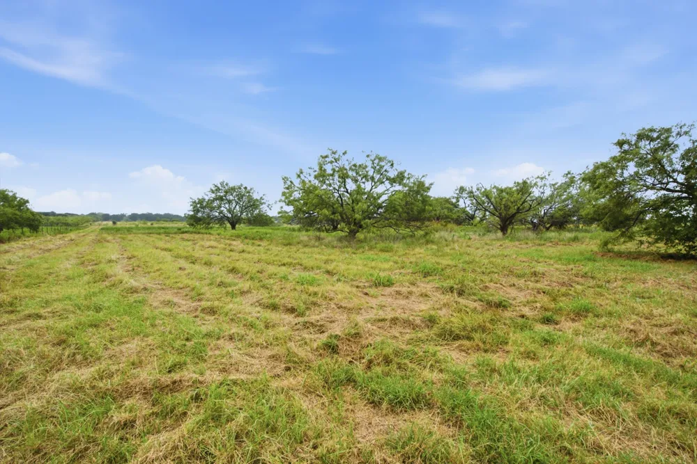 5599 S Fm 113 Millsap, TX 76066