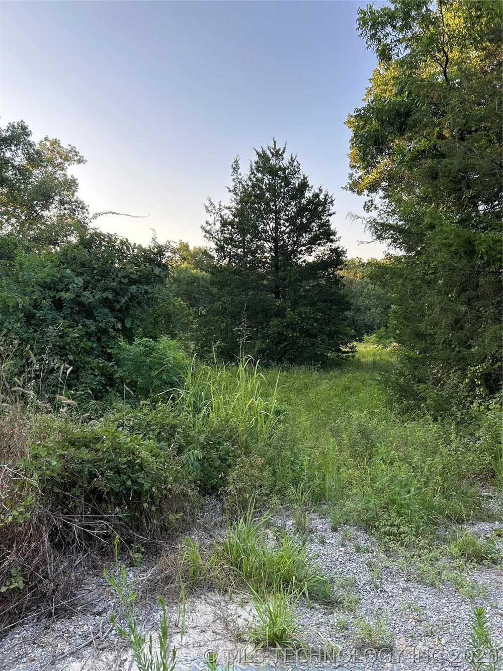 Cedar Mead, OK 73449