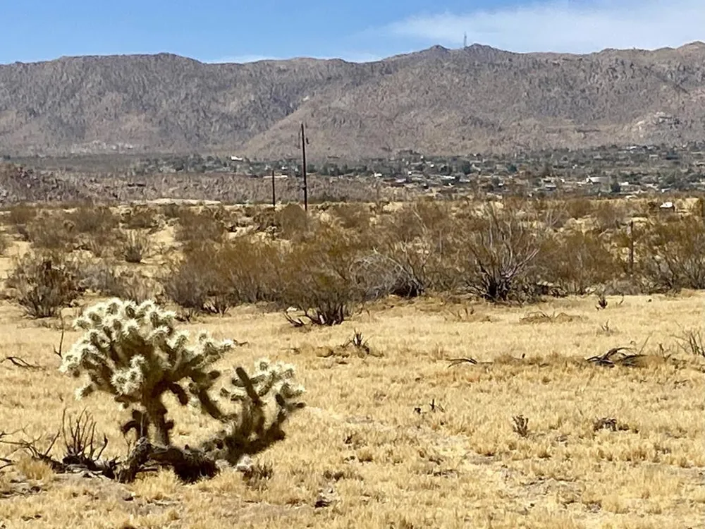 62585 Two Mile Road Joshua Tree, CA 92252