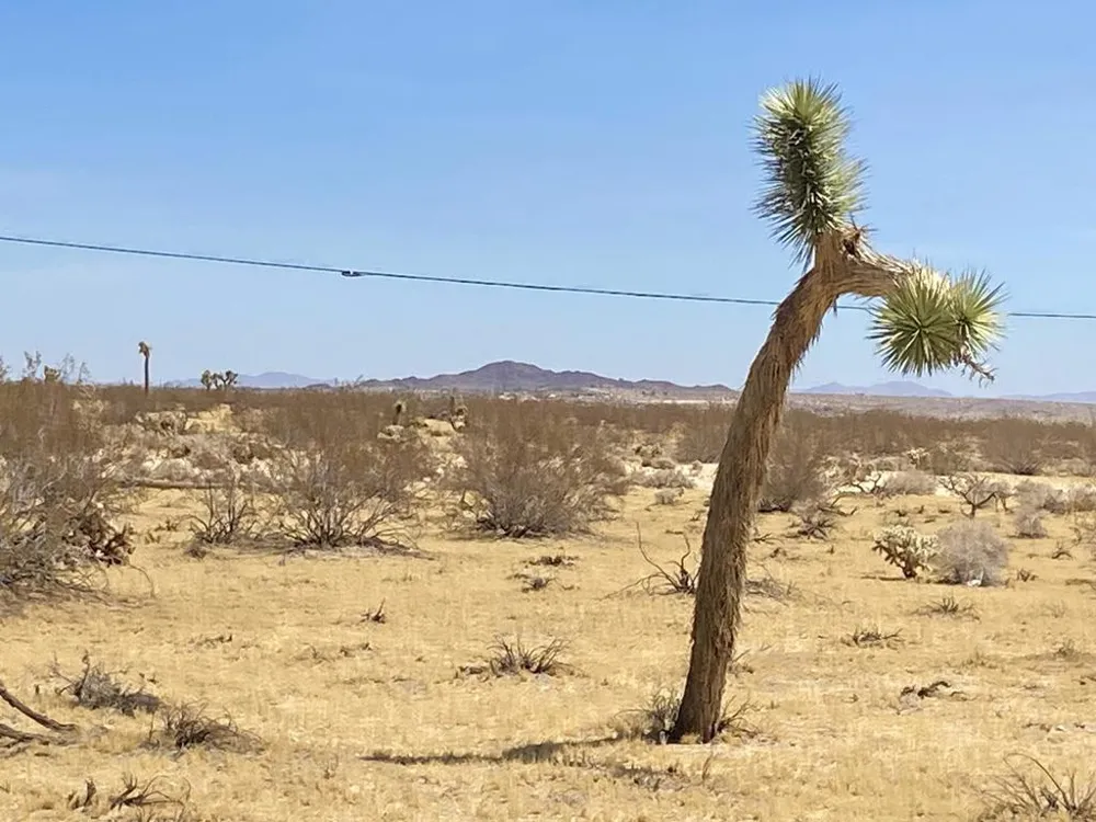 62585 Two Mile Road Joshua Tree, CA 92252