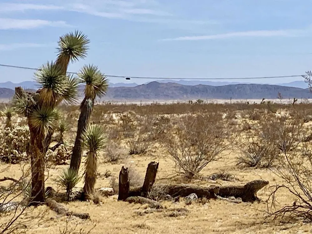 62585 Two Mile Road Joshua Tree, CA 92252