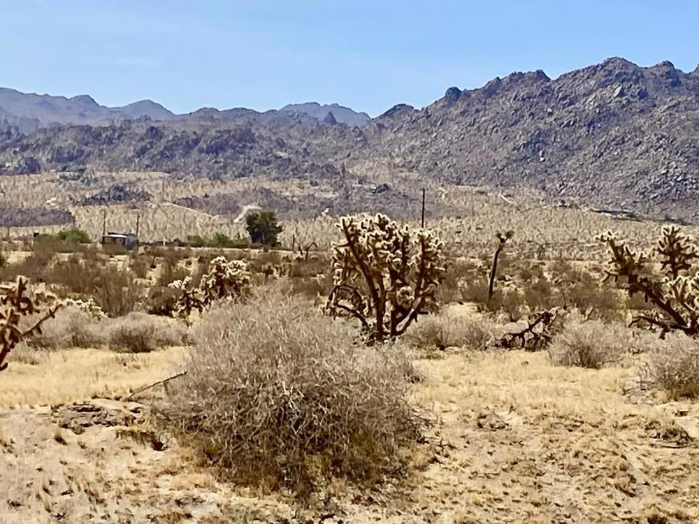 62585 Two Mile Road Joshua Tree, CA 92252