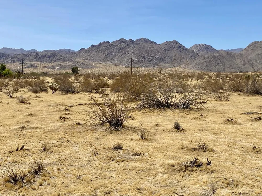 62585 Two Mile Road Joshua Tree, CA 92252
